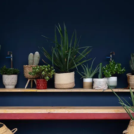 Buendia Nohotel 4* Corralejo