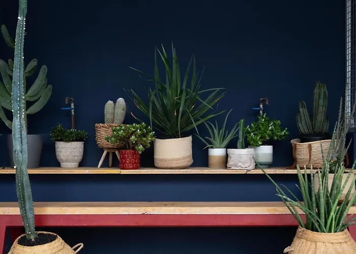 Buendia Nohotel 4* Corralejo